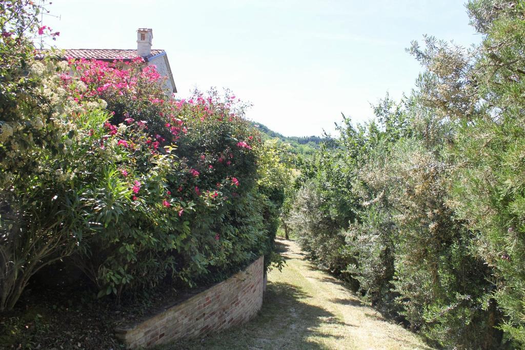 Villa Melagrana ฟาโน ภายนอก รูปภาพ