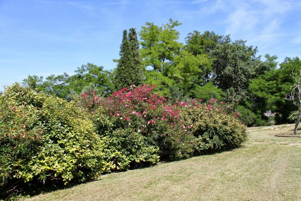 Villa Melagrana ฟาโน ห้อง รูปภาพ